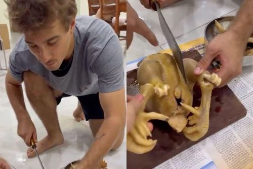 Xem khách Tây lúng túng chặt gà luộc, dân mạng đùa 'chưa đủ trình lấy vợ Việt'