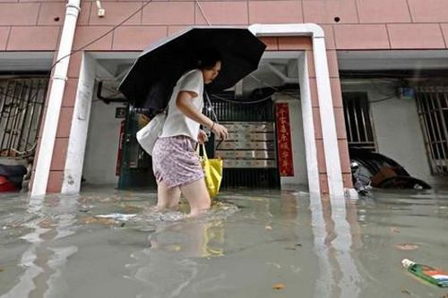 Bão Dolphin đổ bộ Trung Quốc, hơn 1 triệu dân phải sơ tán