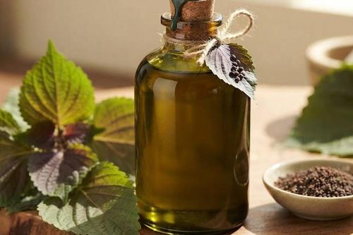 3 lợi ích của dầu tía tô với người ăn kiêng, giảm cân