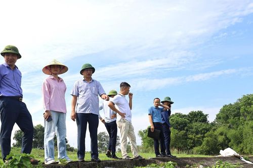 Thanh Hóa: Xử lý các điểm đê, kè xung yếu sau phản ánh của Báo Đại đoàn kết