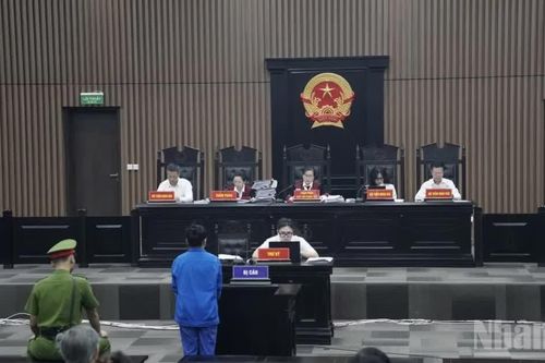 Vụ 'vẽ' dự án sâm Ngọc Linh: Trả lại hồ sơ để điều tra bổ sung