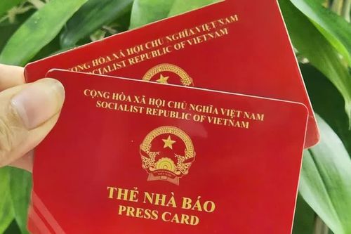 Cục Báo chí yêu cầu tăng cường quản lý hồ sơ cấp thẻ nhà báo