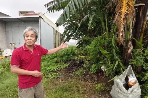 Đất có sổ đỏ 18 năm nhưng 'không có trên thực địa': Yêu cầu xử lý dứt điểm trước ngày 15/8