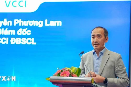 'Đồng bằng sông Cửu Long thiếu doanh nghiệp đủ mạnh để biến lợi thế thành giá trị'