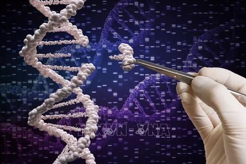 Phương pháp mới phát hiện hàng trăm bệnh di truyền hiếm trước khi triệu chứng xuất hiện