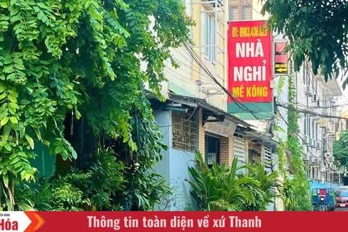 Xanh một góc, chật cả con đường