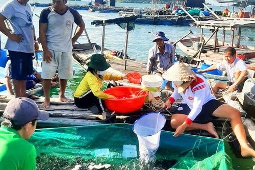 Ngư dân Tiên Hải bám biển
