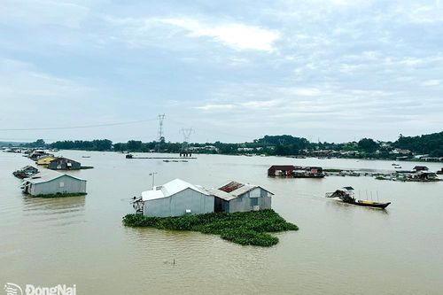Chủ động phòng, chống bão lũ, thiên tai và biến đổi khí hậu