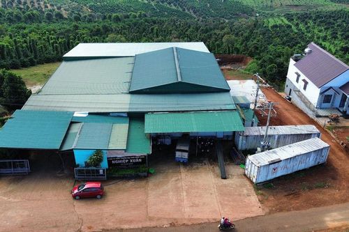 Tín hiệu vui từ chế biến nông sản ở Tây Lâm Ðồng