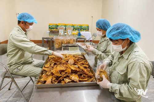 Hợp tác xã - 'bệ đỡ' cho nông sản miền núi