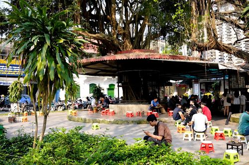 Nửa thế kỷ với cà phê cóc ông Sửu
