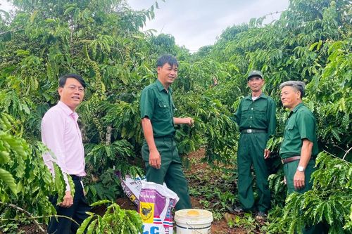 Tín dụng chính sách tiếp sức cựu chiến binh làm kinh tế