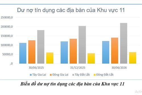 Ngành Ngân hàng Gia Lai nỗ lực tăng trưởng tín dụng, tiếp sức cho sản xuất kinh doanh