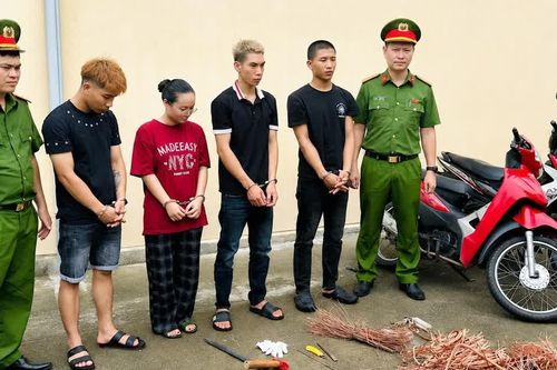 Khởi tố nhóm chuyên đột nhập công trình trộm cắp cáp điện liên tỉnh