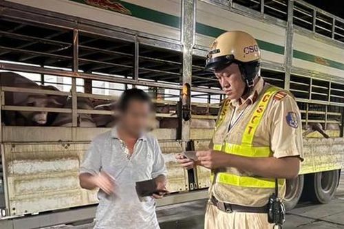 Vụ heo nhiễm chất cấm ở Đồng Nai: Chuyển hồ sơ sang cơ quan điều tra