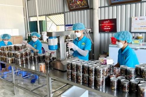 Cà Mau 'khát' nhân lực chất lượng cao, cần hơn 11.700 lao động