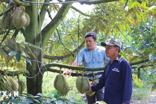 Quản lý kinh doanh trong nông nghiệp: Cắt giảm tiền kiểm, tăng cường hậu kiểm