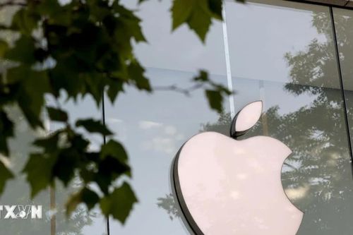 Google, Apple bị xác định vi phạm Luật Kinh doanh viễn thông Hàn Quốc