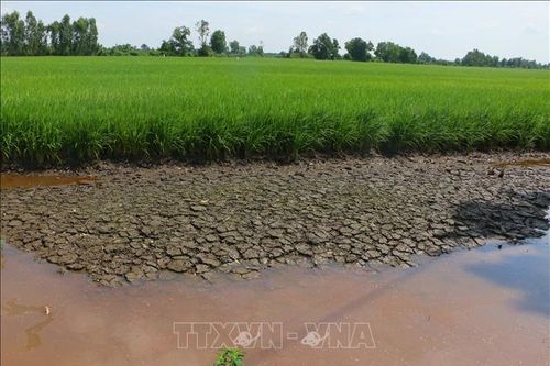 Nền tảng thích ứng với biến đổi khí hậu - Bài 1: Mở rộng sinh kế