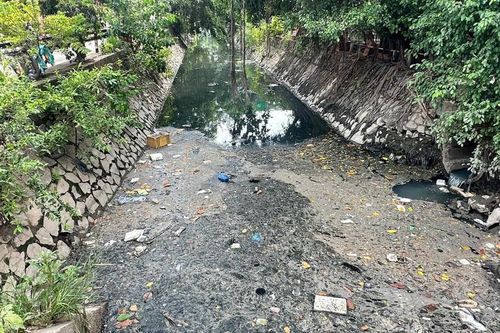 Mắc kẹt trong dòng 'nước đen': Người dân khu Tây Tp.HCM mòn mỏi chờ giải pháp căn cơ