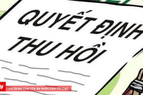 Lý do thu hồi khu hơn 4.000m² đất của Công ty Cổ phần Đầu tư Phát triển địa ốc Gia Long
