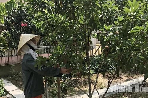 Ứng dụng khoa học - kỹ thuật vào sản xuất