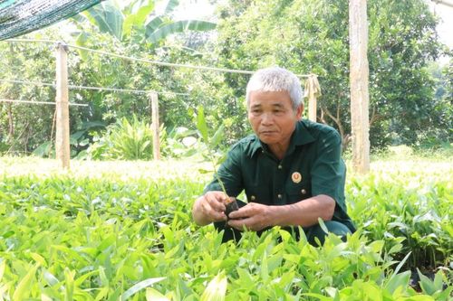 Cựu chiến binh vươn lên từ vốn ưu đãi