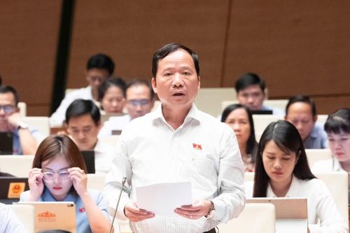 Đại biểu Quốc hội tỉnh góp ý về việc thành lập thành phố trực thuộc Trung ương và các dự án luật