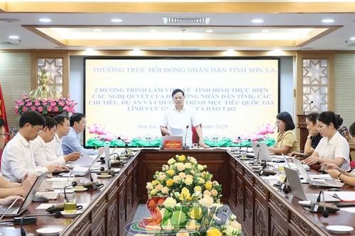Tập trung thực hiện hiệu quả các chính sách về giáo dục và đào tạo