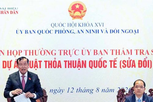 Thẩm tra sơ bộ dự án Luật Thỏa thuận quốc tế (sửa đổi)