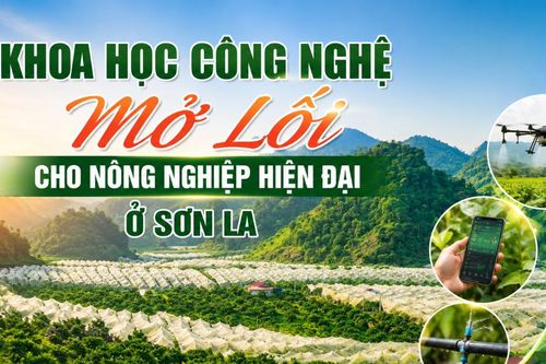 Khoa học công nghệ: Mở lối cho nông nghiệp hiện đại ở Sơn La