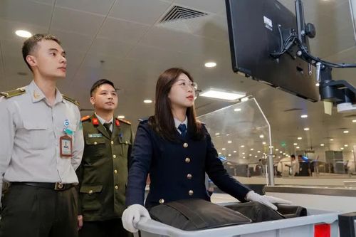 Những 'chiêu độc' tuồn ma túy, hàng cấm qua Nội Bài
