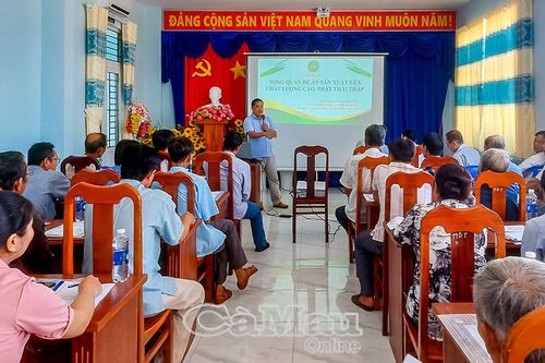 Nông dân học cách đưa công nghệ số vào đồng ruộng