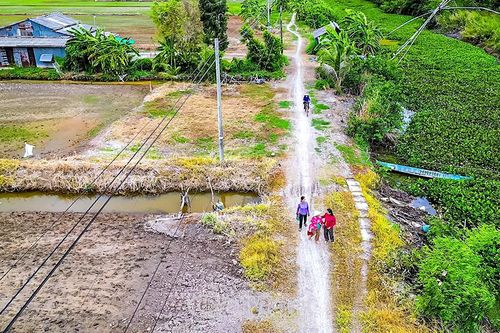 Đề xuất được bố trí vốn nâng cấp tuyến bờ Đông kênh Đê Trong
