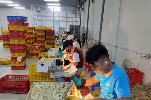 Thí điểm mô hình xã phường xã hội chủ nghĩa: Doanh nghiệp và chính quyền đồng hành kiến tạo phát triển