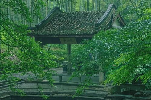 Tháng sinh Âm lịch của người có 'cái đầu lạnh': Gặp biến cố vẫn bình tĩnh biến nguy thành an
