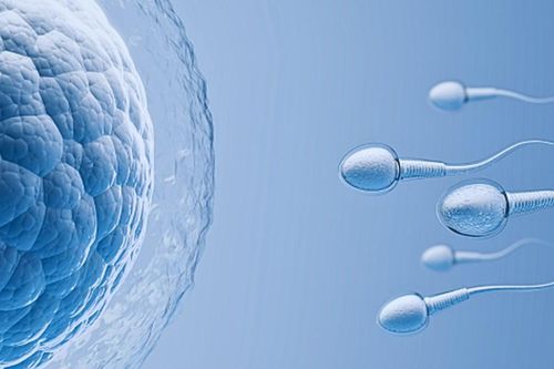Cách nhận biết tinh trùng có khỏe mạnh hay không