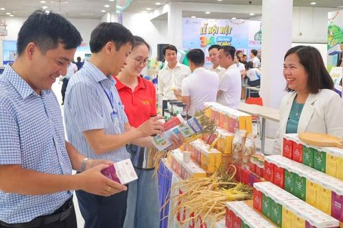 Quảng Ngãi tổ chức chuỗi sự kiện lớn, mở rộng cơ hội hợp tác, đầu tư và phát triển du lịch