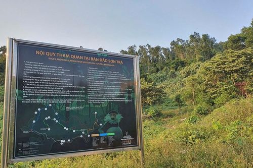 Đến bán đảo Sơn Trà, đừng vượt biển cấm!