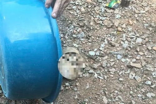 Phát hiện vật thể nghi là sọ người ở Tuyên Quang