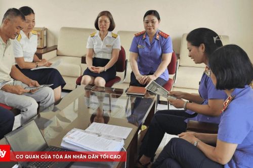 Gần 12 tỉ đồng nợ thuế được thu hồi ở Quảng Ninh qua tố tụng công ích