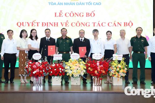 Tòa án nhân dân tối cao trao quyết định bổ nhiệm cán bộ