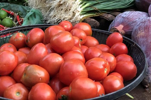 Nghiên cứu mới phát hiện ăn cà chua có thể mang lại lợi ích bất ngờ cho gan