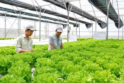 Doanh nghiệp hợp lực phát triển kinh tế - Bài cuối: Khơi thông dòng vốn để tăng tốc