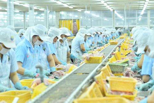 3 lần gom cổ phiếu ANV, lãnh đạo Nam Việt nâng sở hữu lên 1,18%