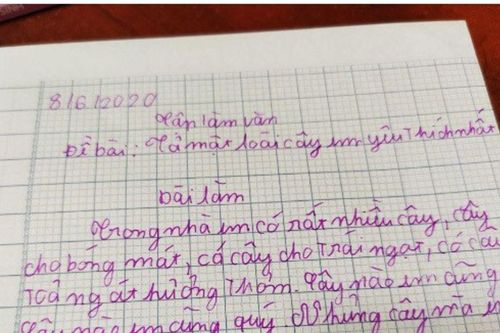 Làm bài văn tả loài cây thích nhất, em học sinh nhắc đến cái tên ai cũng thích
