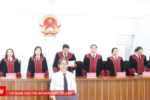 TAND tỉnh Cà Mau mở 4 phiên tòa giám đốc thẩm, tái thẩm