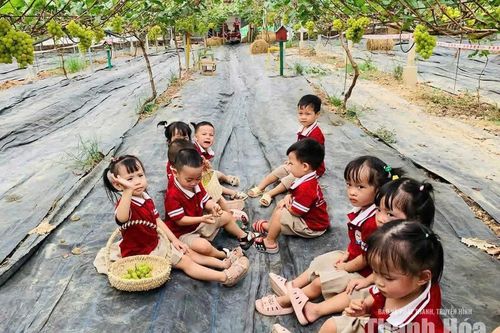 Trung Chính đẩy mạnh ứng dụng KH&CN trong sản xuất nông nghiệp