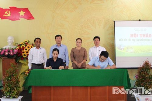 Phường Mỹ Trà: Hội thảo liên kết tiêu thụ lúa chất lượng cao, phát thải thấp