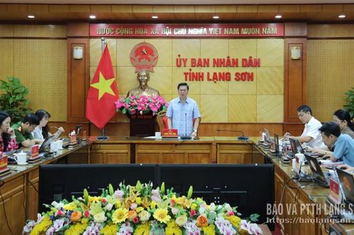 Tập trung thực hiện đúng tiến độ các nhiệm vụ đã được phân công